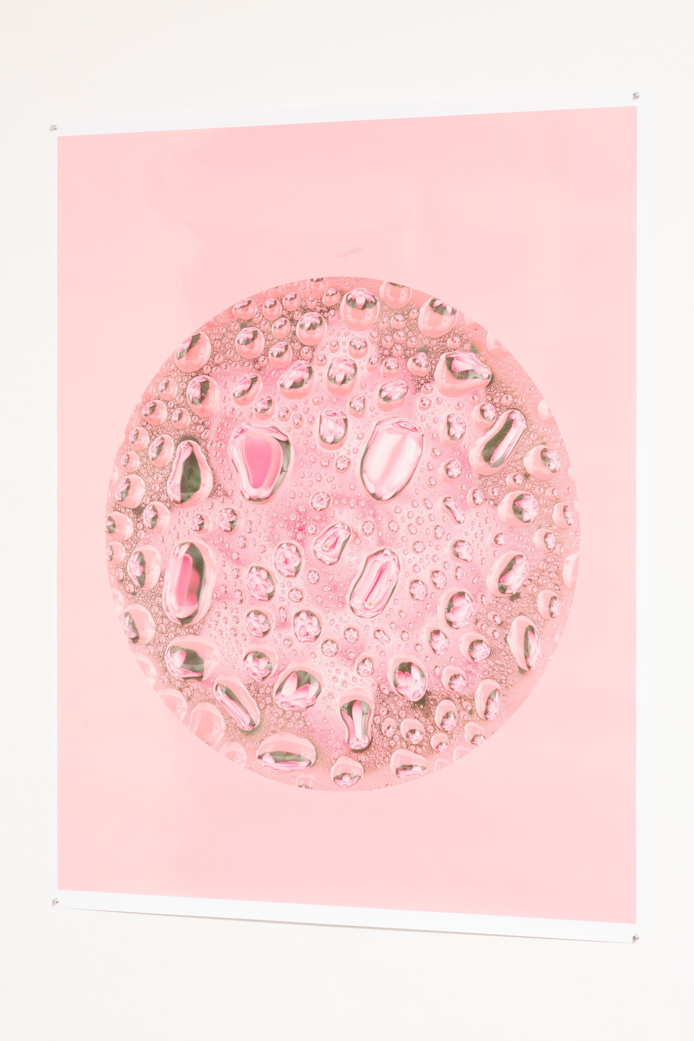 Bingyang Liu, Neither Nor at The Fulcrum, photo 17
