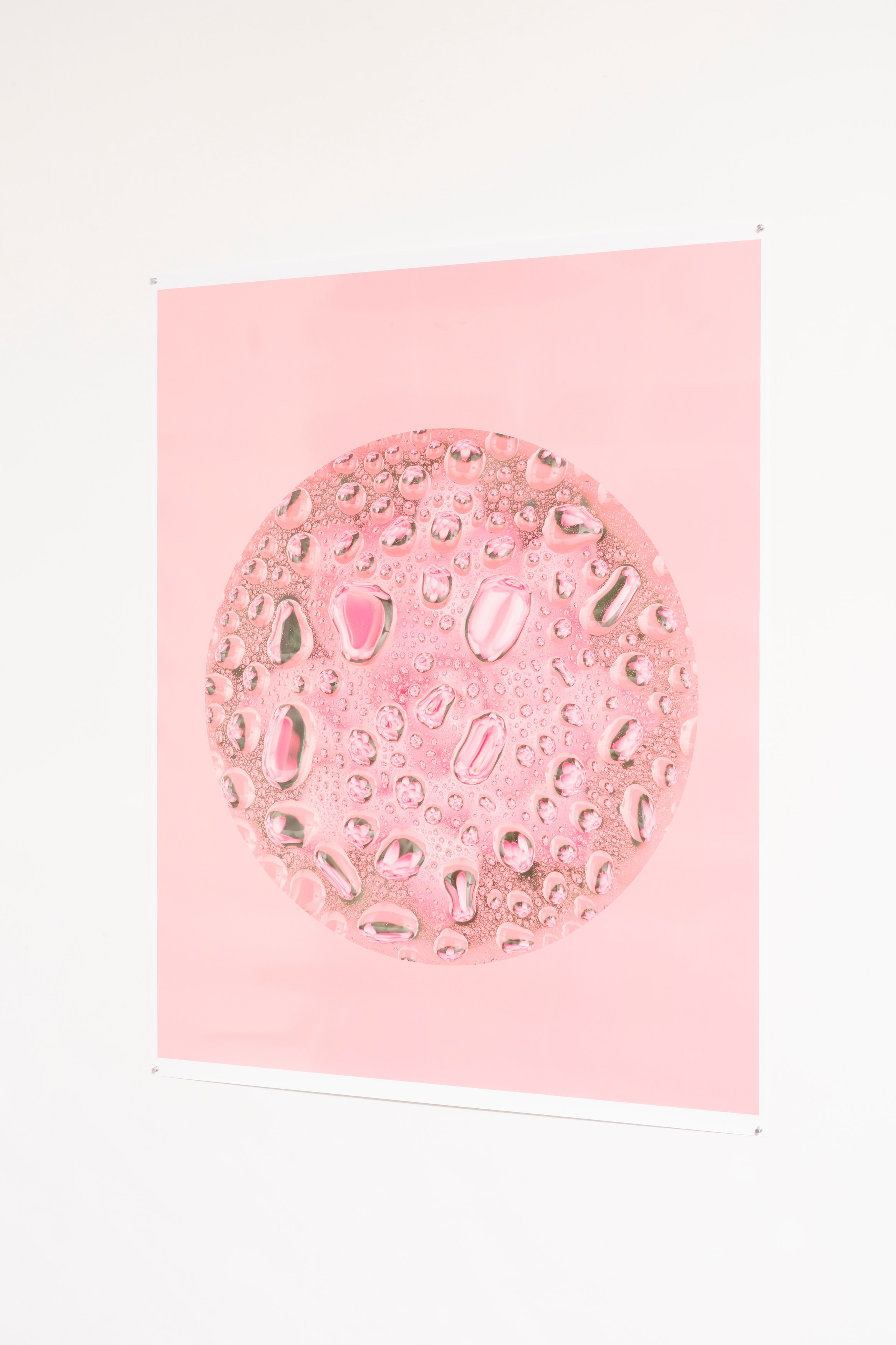 Bingyang Liu, Neither Nor at The Fulcrum, photo 18