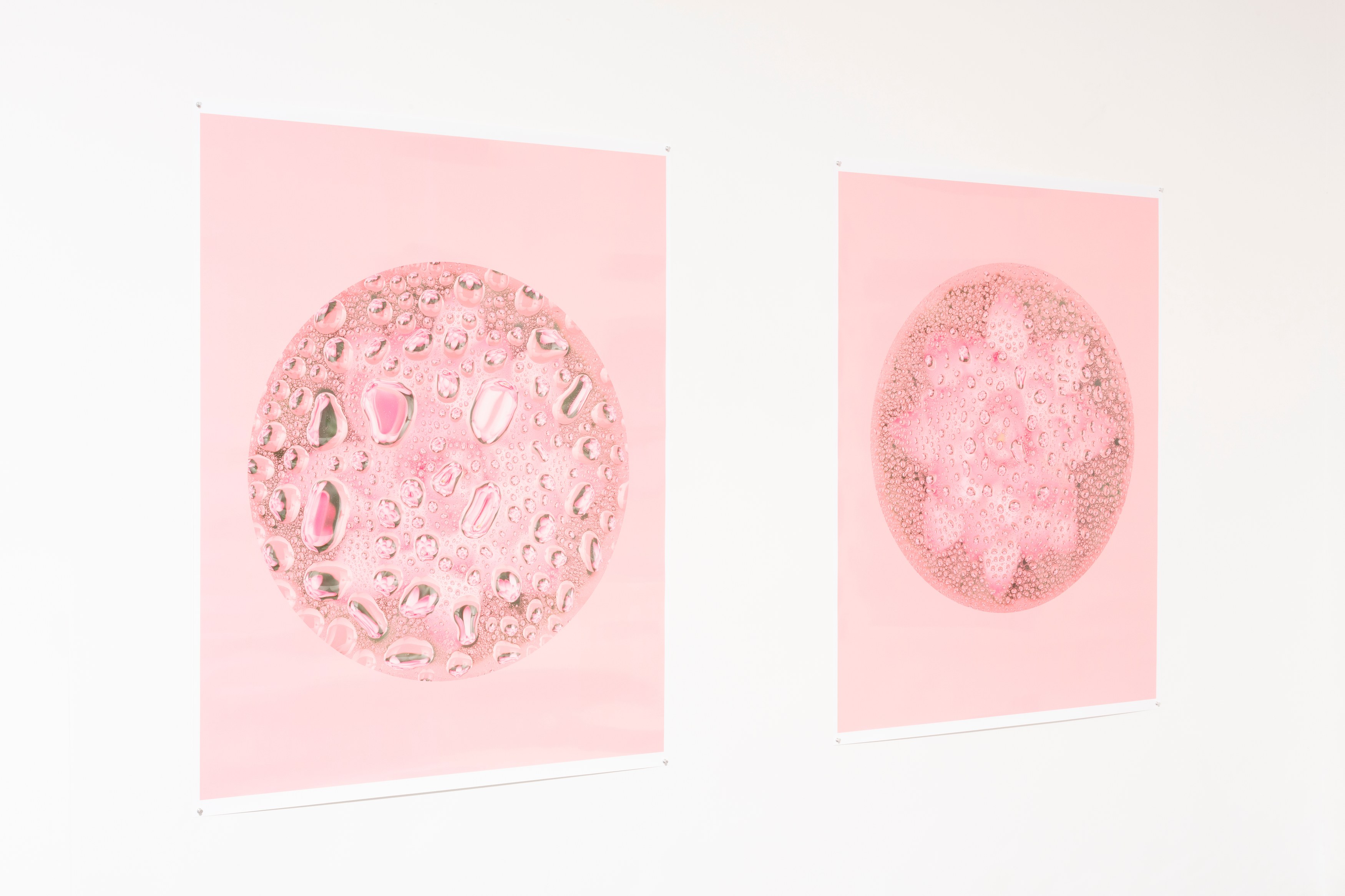 Bingyang Liu, Neither Nor at The Fulcrum, photo 20