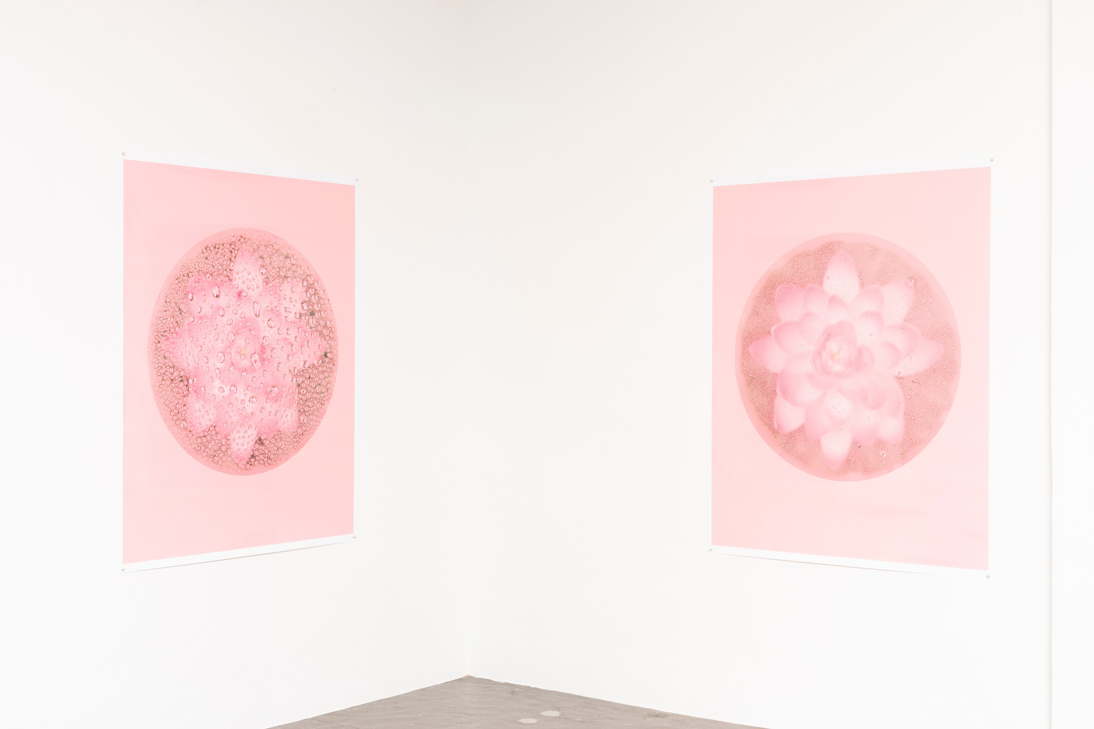 Bingyang Liu, Neither Nor at The Fulcrum, photo 21