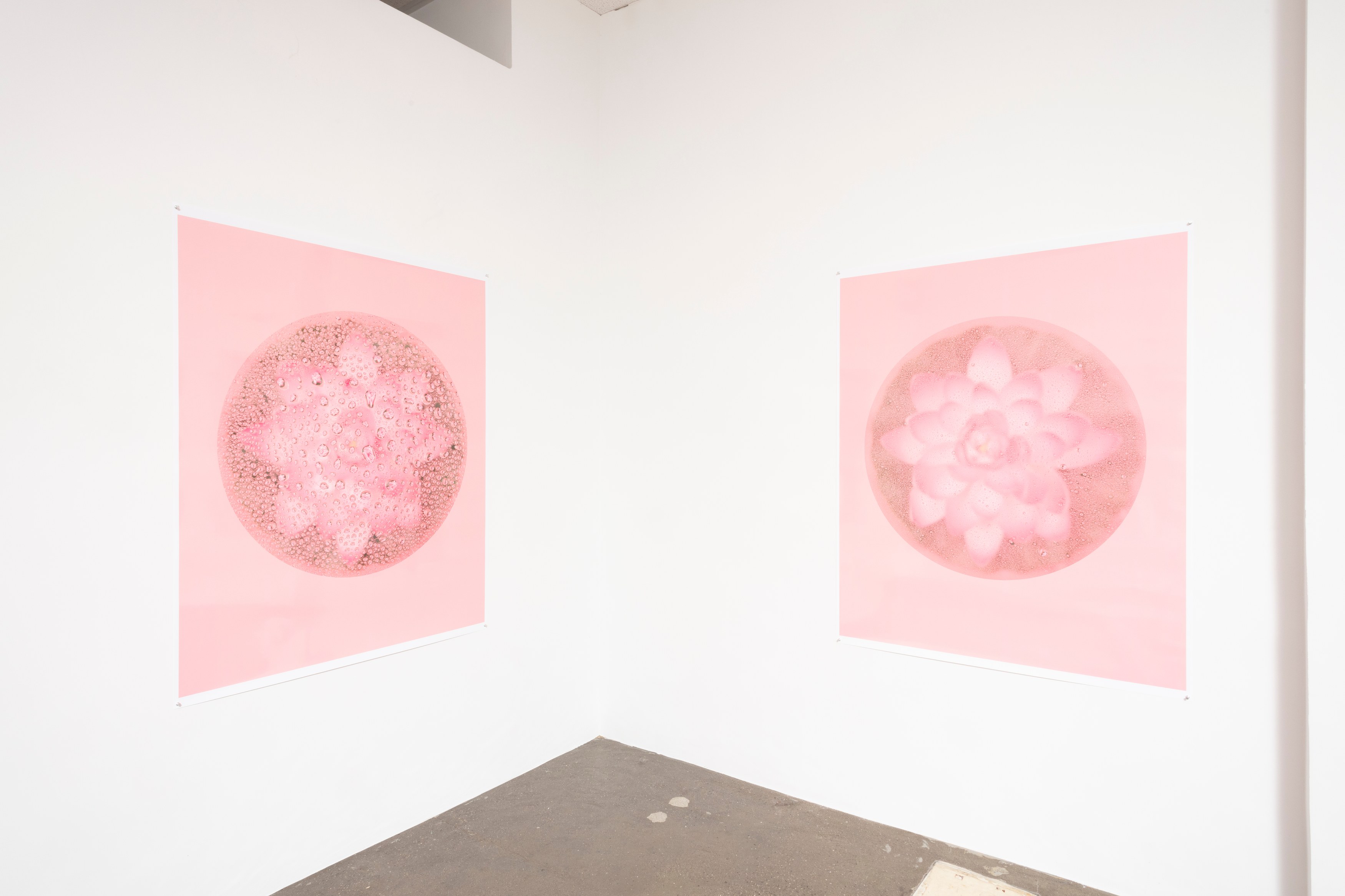 Bingyang Liu, Neither Nor at The Fulcrum, photo 22
