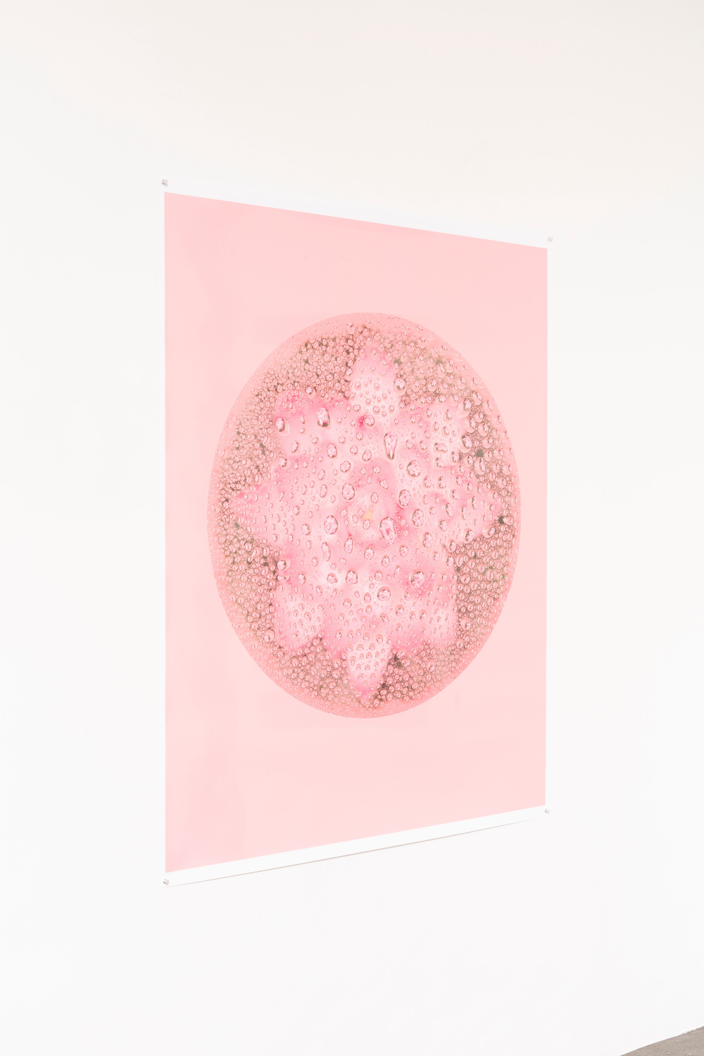 Bingyang Liu, Neither Nor at The Fulcrum, photo 23
