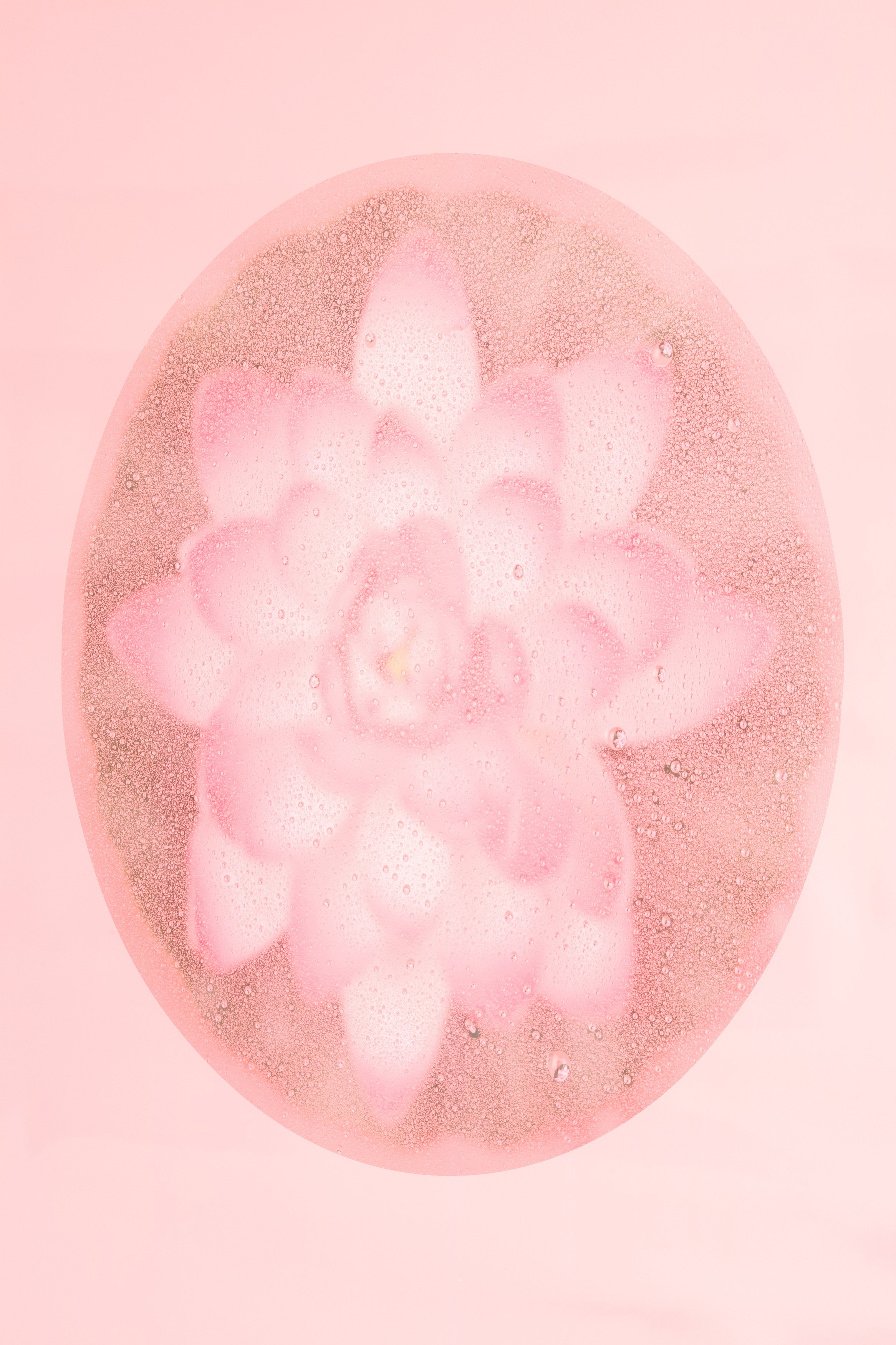 Bingyang Liu, Neither Nor at The Fulcrum, photo 26