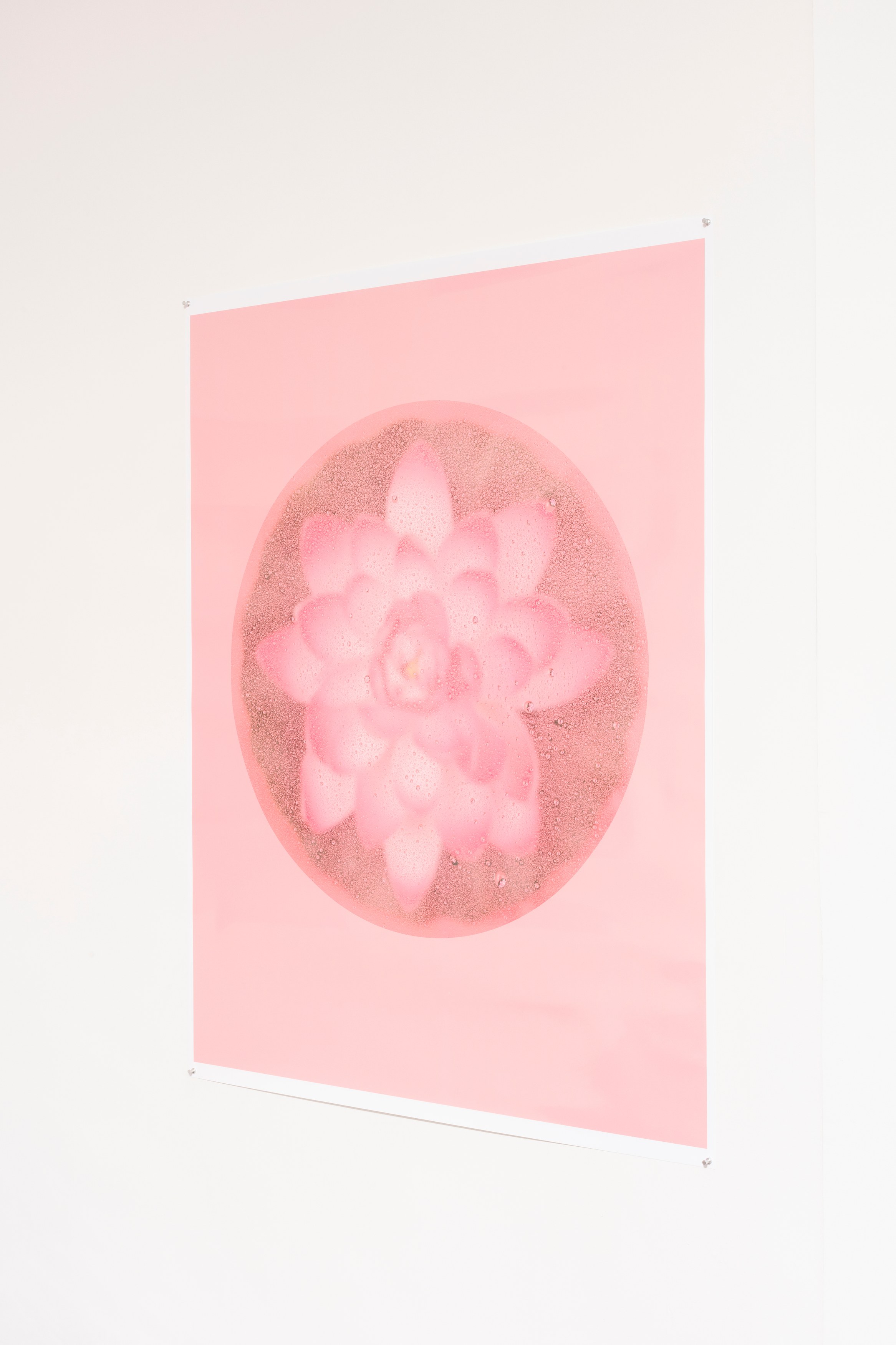 Bingyang Liu, Neither Nor at The Fulcrum, photo 28