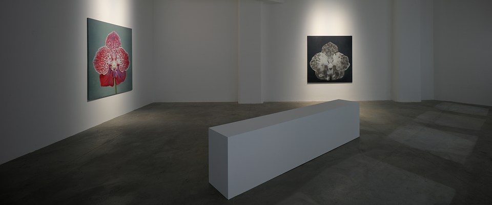 Image 19 of 30