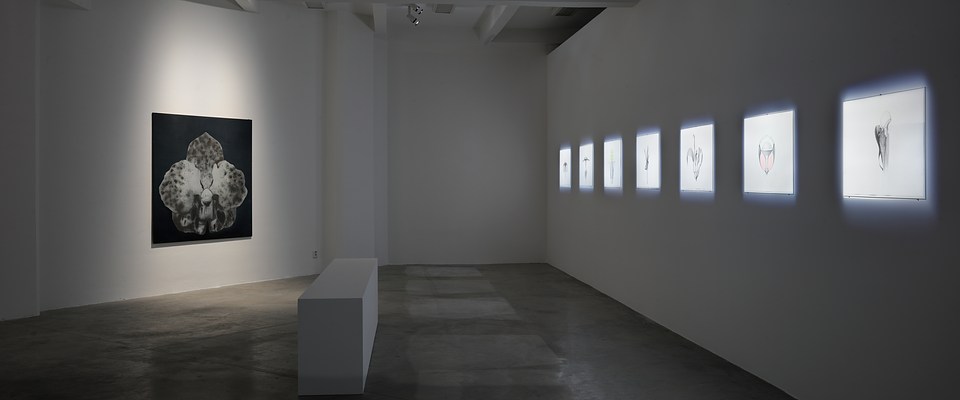 Image 20 of 30