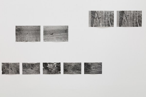 Image 4 of 16