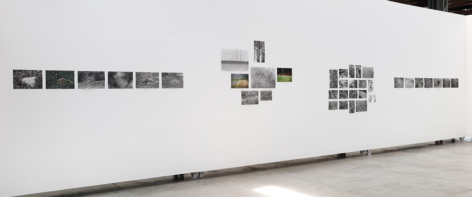 Image 6 of 16