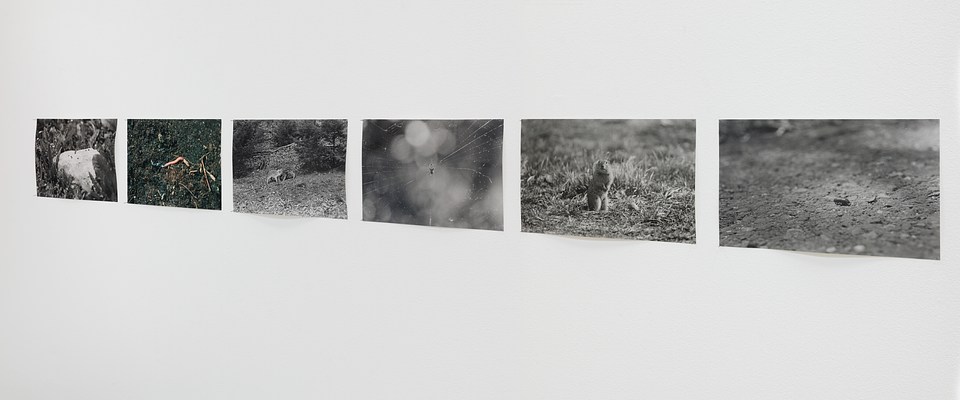 Image 7 of 16