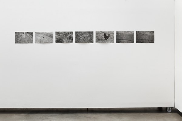 Image 10 of 16