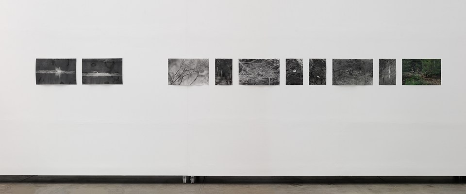 Image 12 of 16