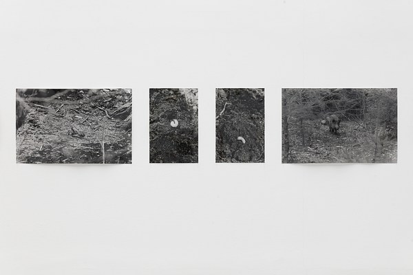 Image 14 of 16