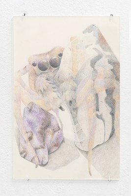 Image 21 of 24
