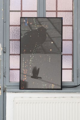 Image 24 of 24