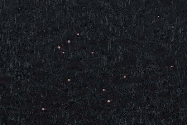 Image 19 of 22