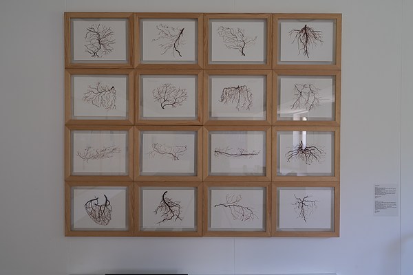 Image 5 of 9
