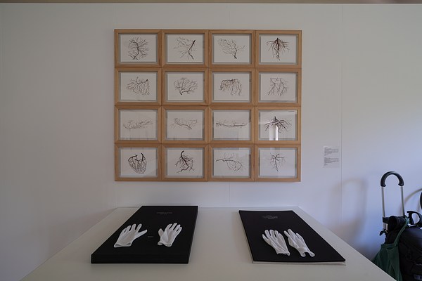 Image 4 of 9
