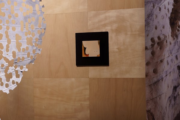 Image 14 of 17