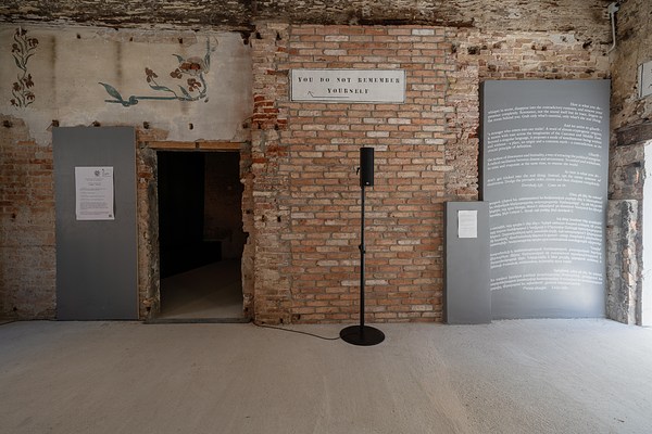 Image 4 of 11