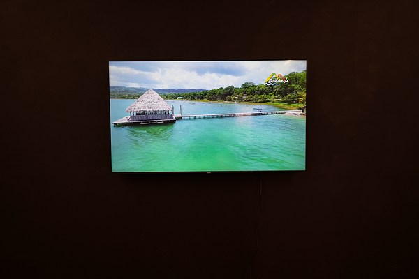 Image 10 of 11