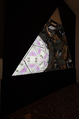 Image 8 of 16