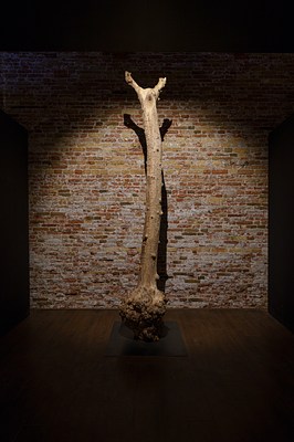 Image 11 of 27