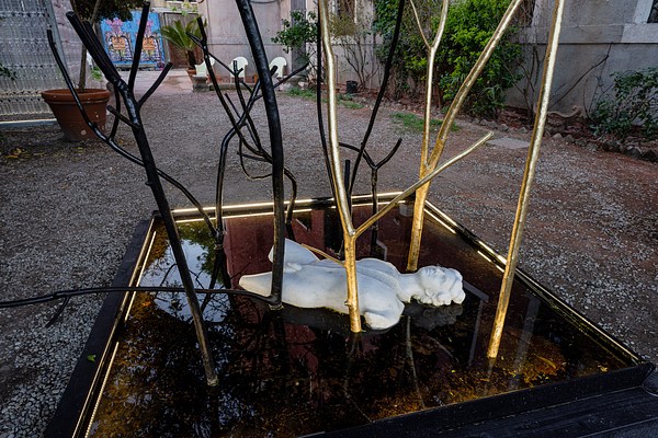 Image 24 of 30