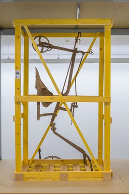 Image 7 of 20