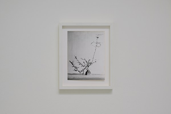 Image 15 of 20