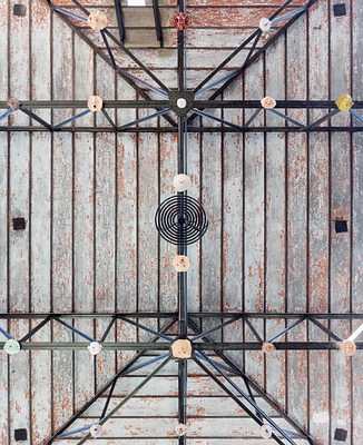 Image 5 of 16