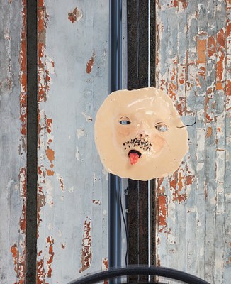 Image 7 of 16