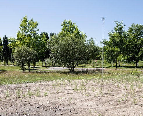 Image 16 of 16