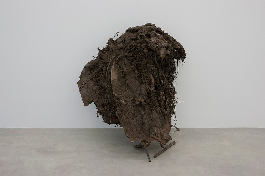 Peter Buggenhout, The Broccoli Cycle 1 at Okey Dokey Konrad Fischer, photo 2