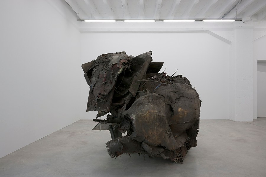 Peter Buggenhout, The Broccoli Cycle 1 at Okey Dokey Konrad Fischer, photo 4