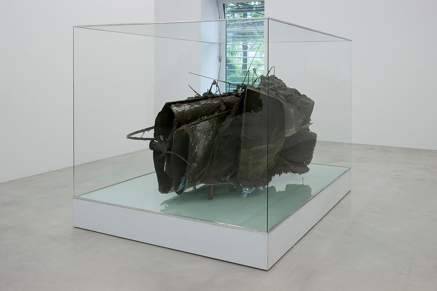 Peter Buggenhout, The Broccoli Cycle 1 at Okey Dokey Konrad Fischer, photo 6