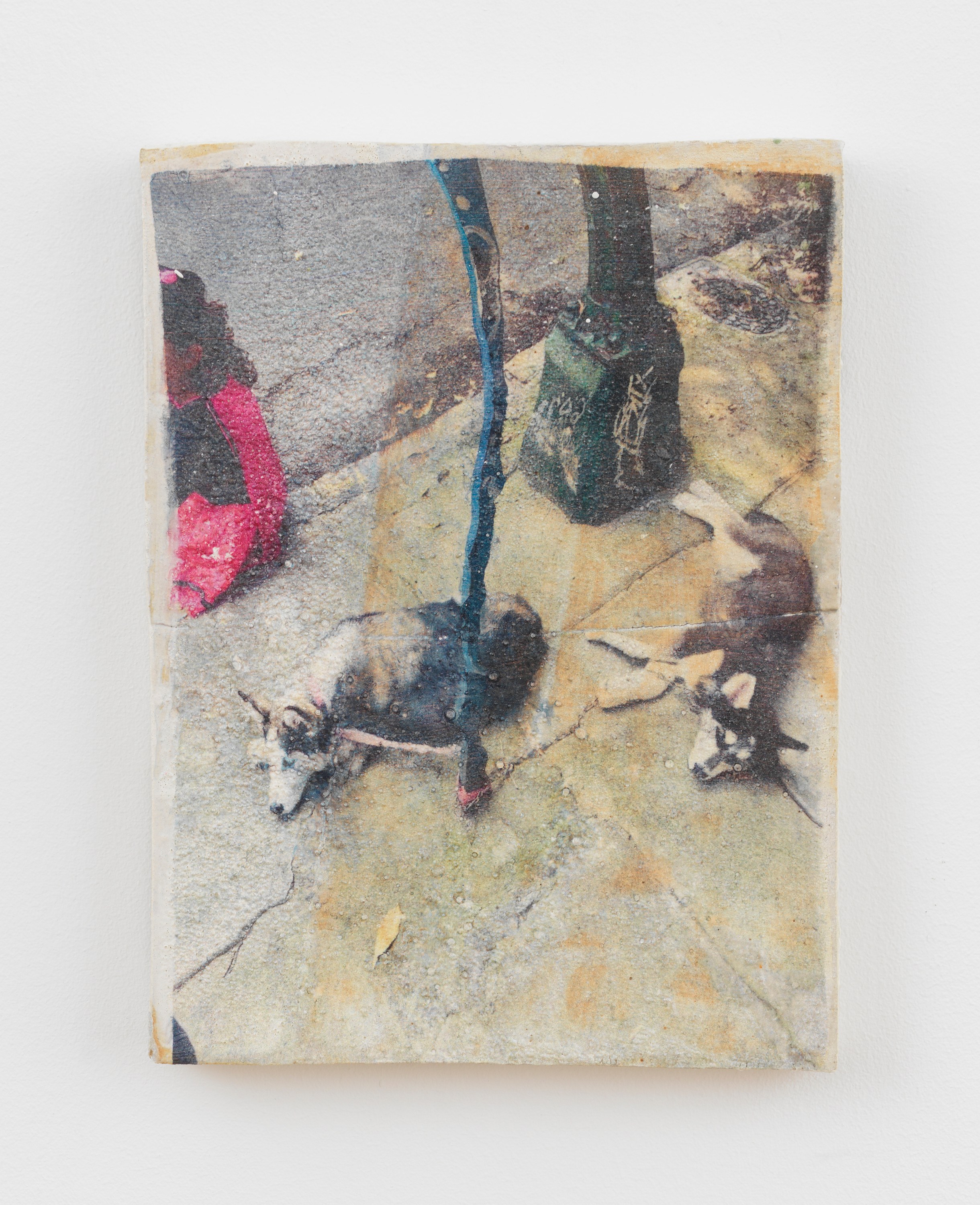 Reciprocity, Reciprocity at Marinaro, photo 16