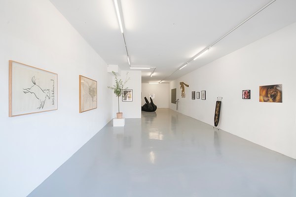 Image 1 of 61