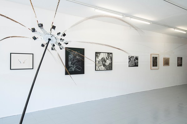 Image 10 of 61