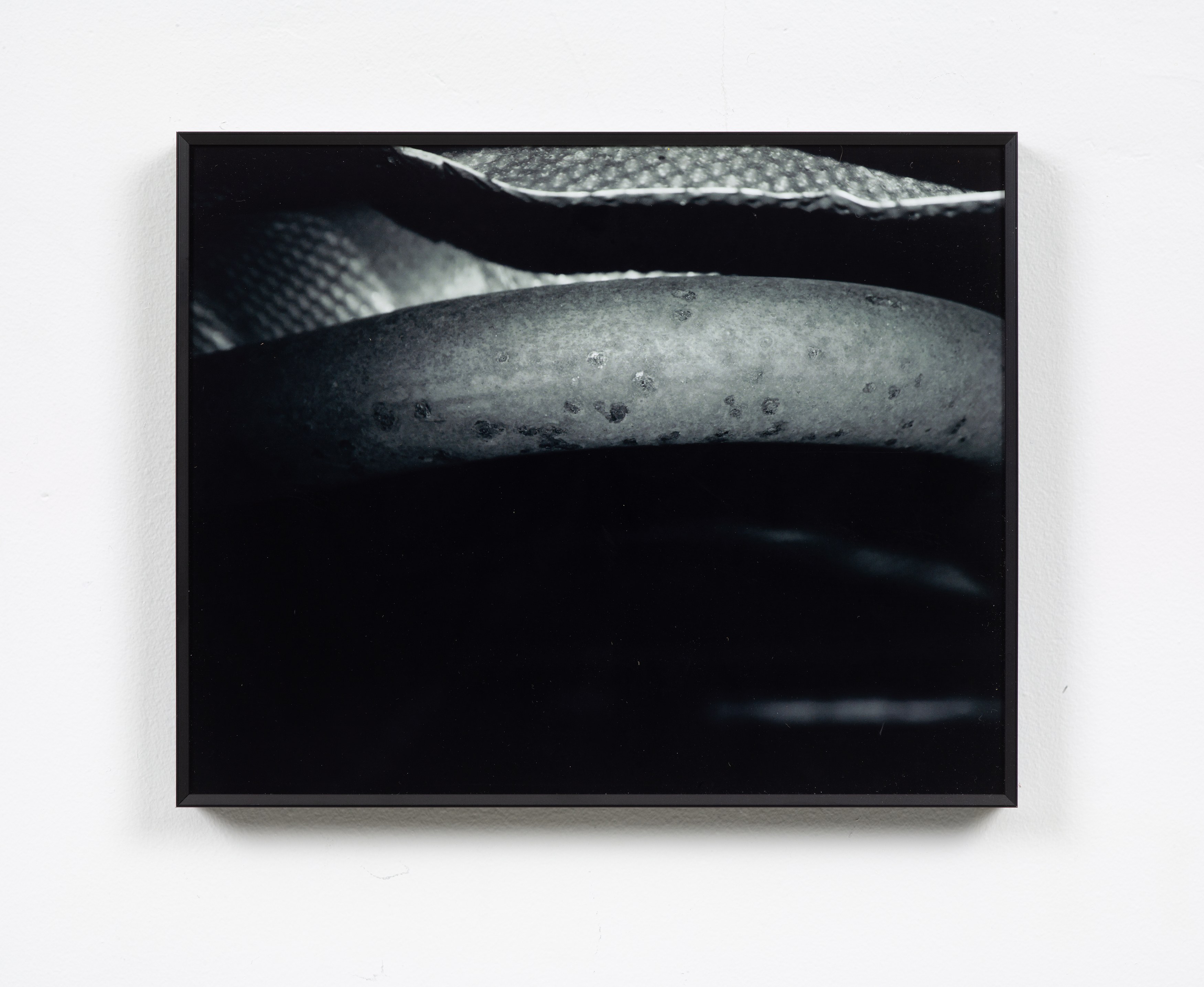 Raza Kazmi, field study at PAGE (NYC) and Dracula's Revenge, New York, photo 11