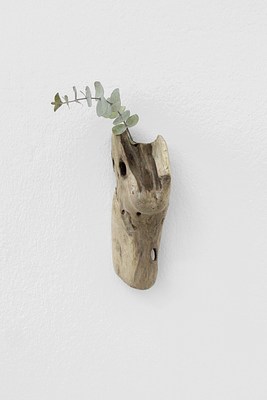 Image 7 of 19