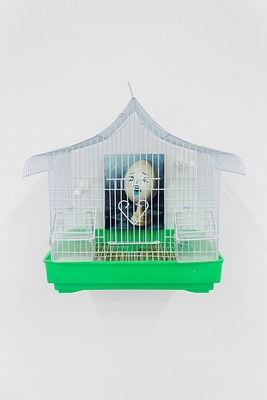 Image 4 of 19
