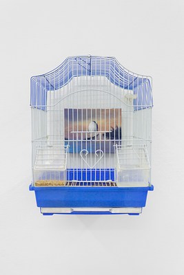 Image 10 of 19
