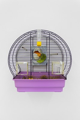 Image 12 of 19