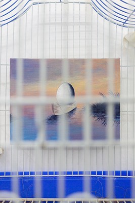 Image 11 of 19