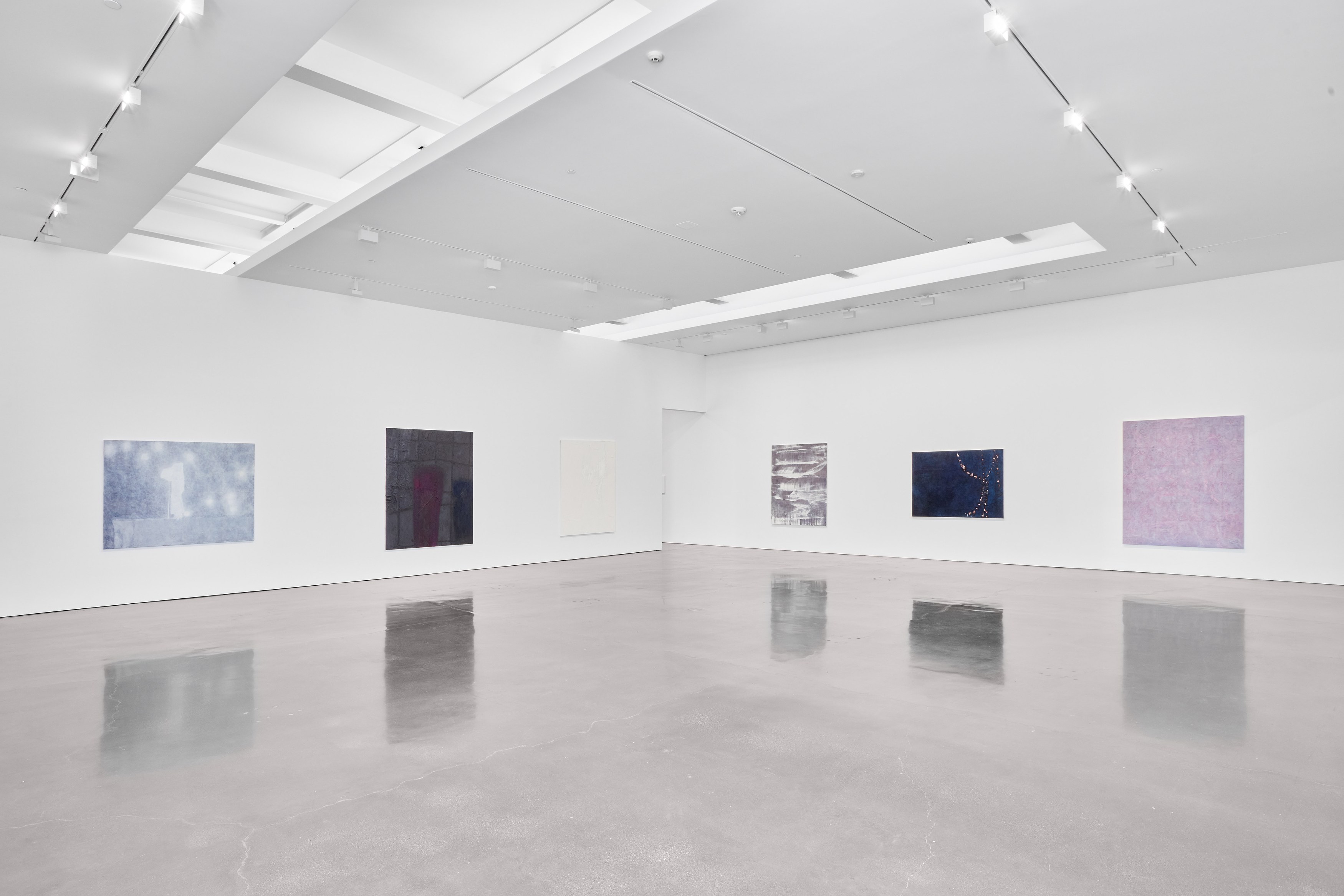 Sergej Jensen, The Adult Light at Regen Projects, photo 2