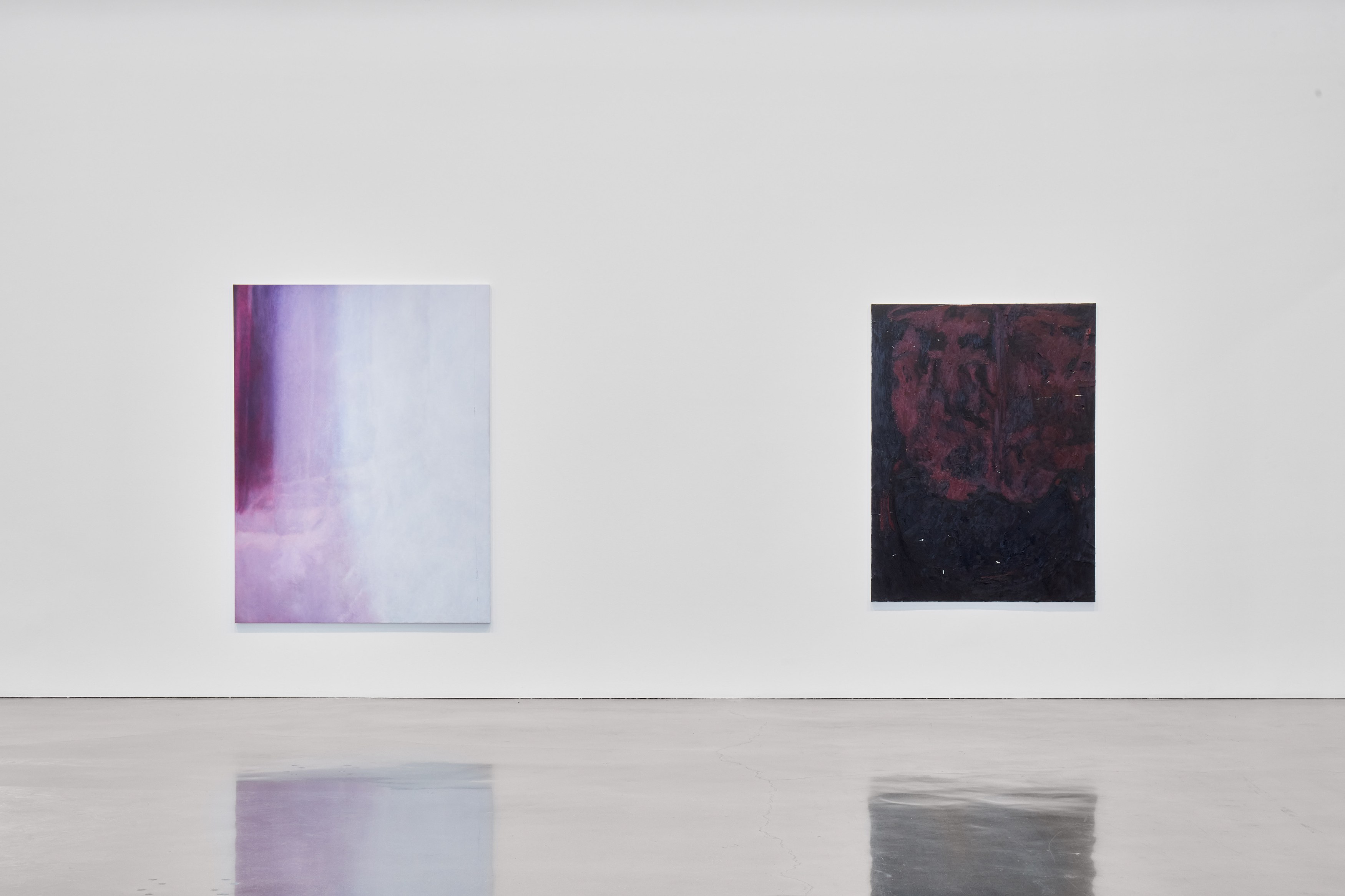 Sergej Jensen, The Adult Light at Regen Projects, photo 6