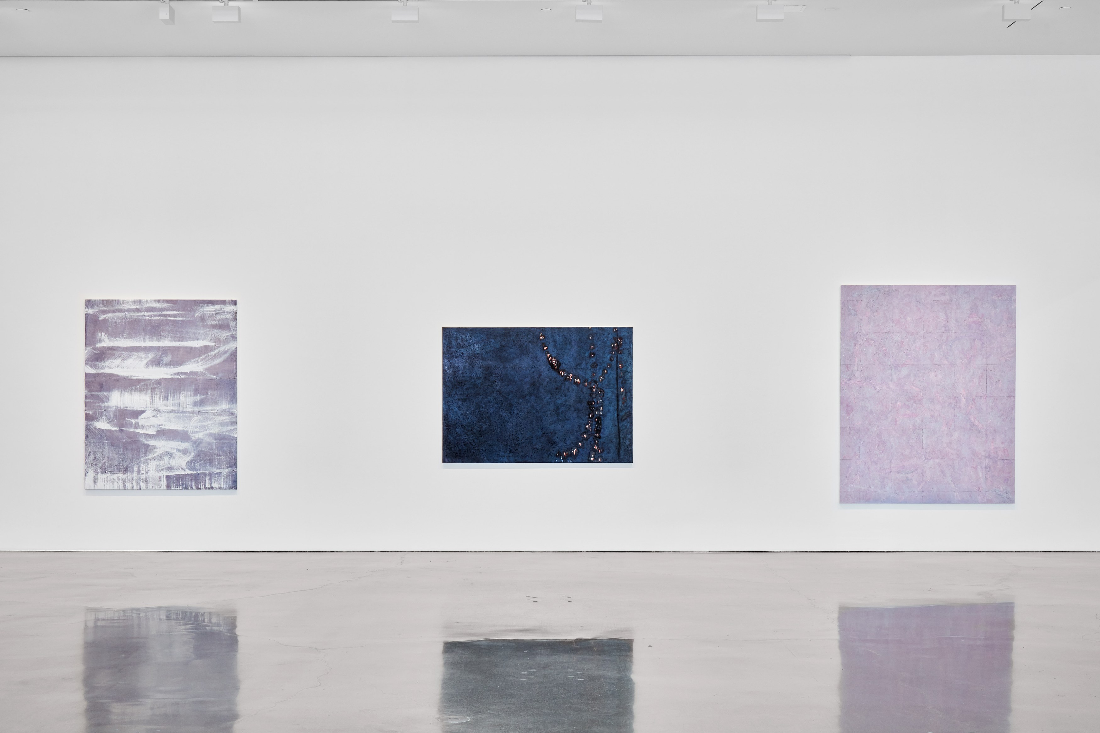 Sergej Jensen, The Adult Light at Regen Projects, photo 3