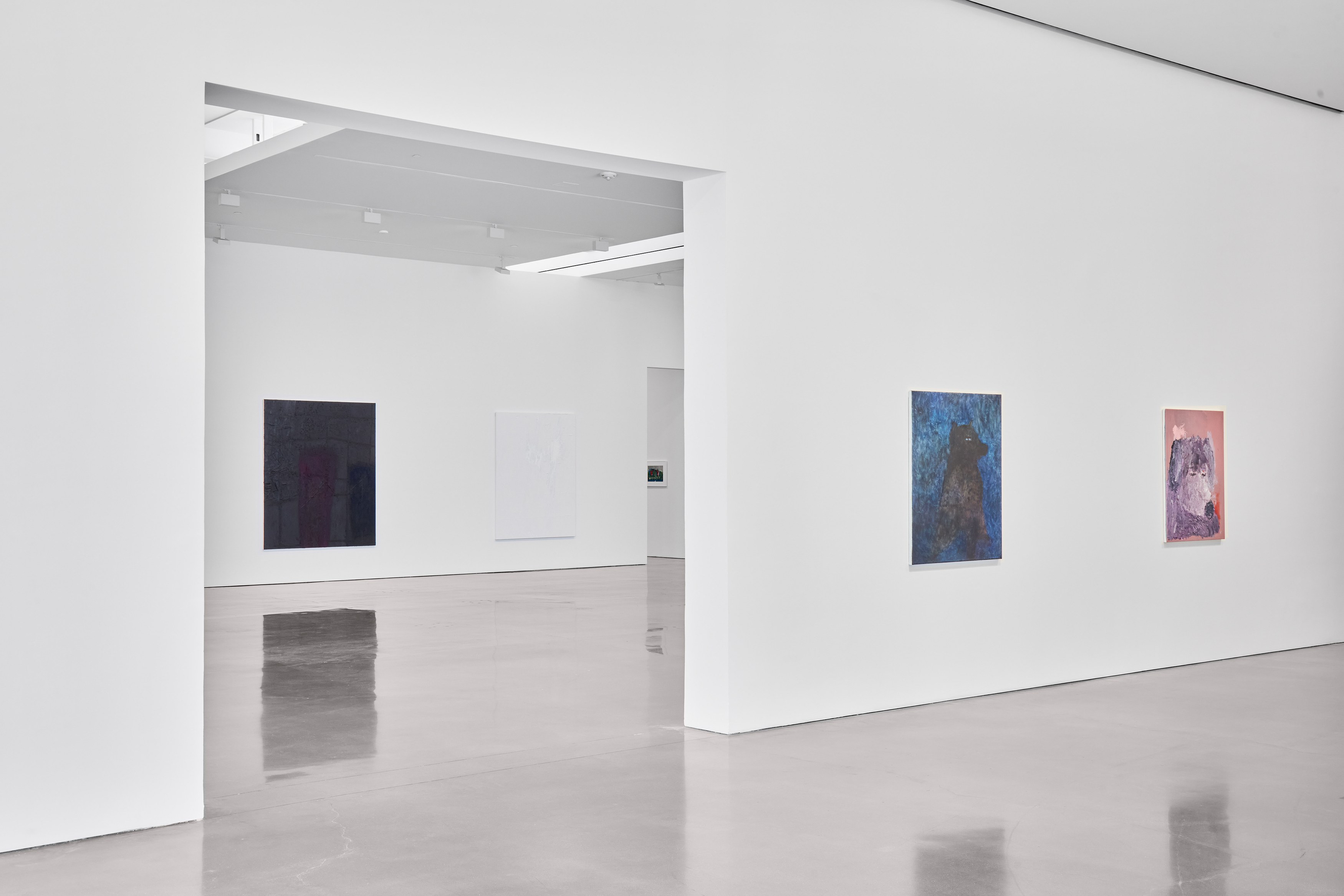 Sergej Jensen, The Adult Light at Regen Projects, photo 8