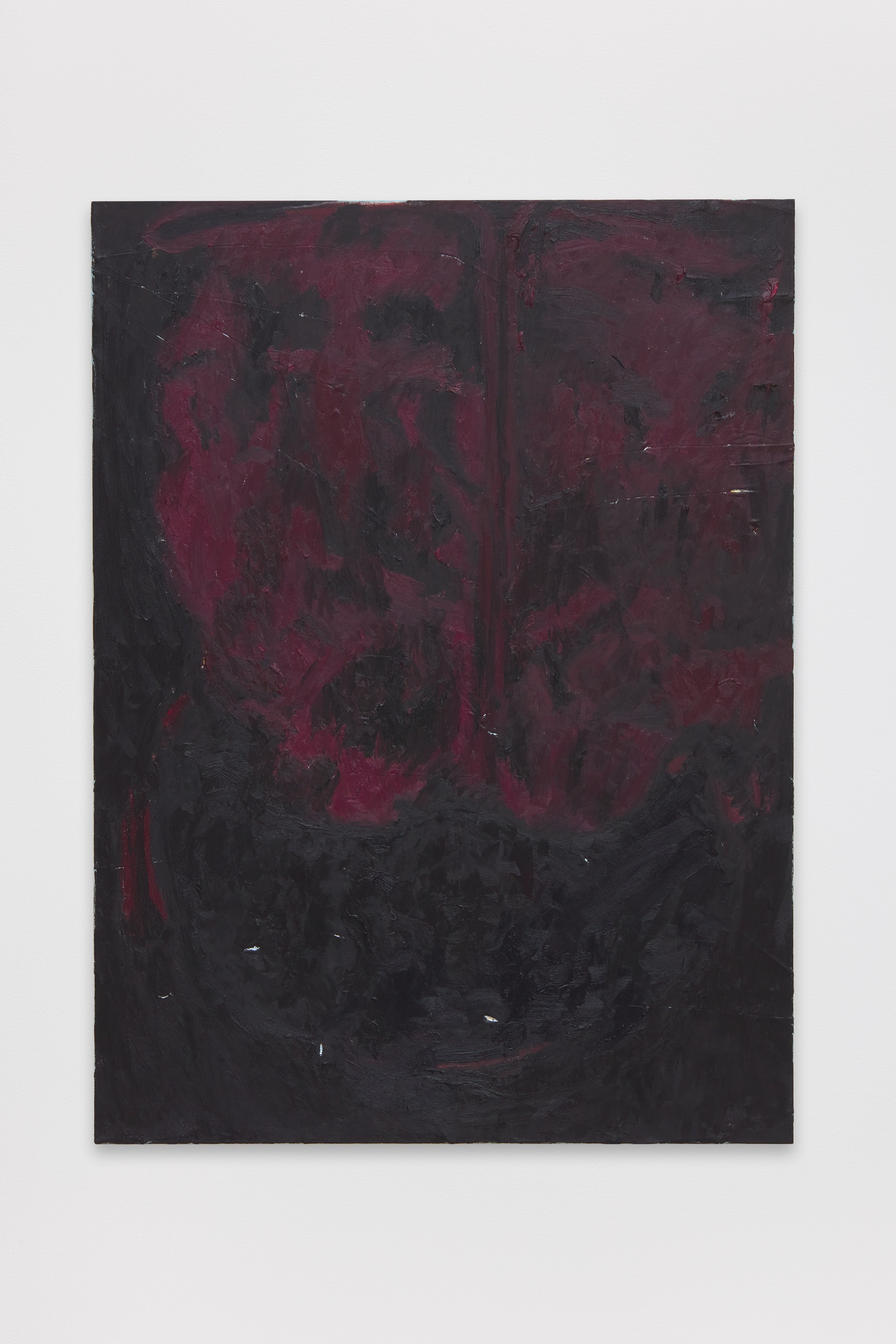 Sergej Jensen, The Adult Light at Regen Projects, photo 17