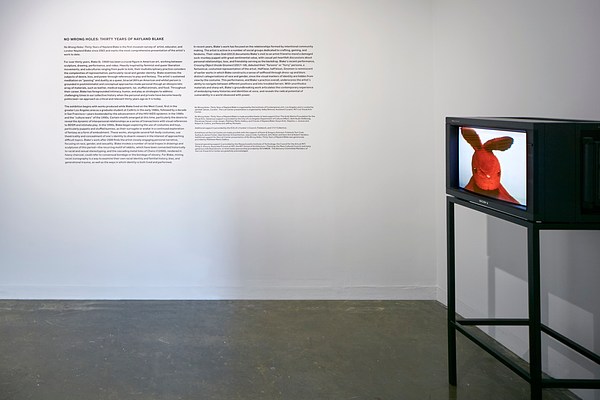 Paragraph of wall text on the wall to the left and a small tv screen with an image of a red bunny stuffed animal on it.&nbsp;